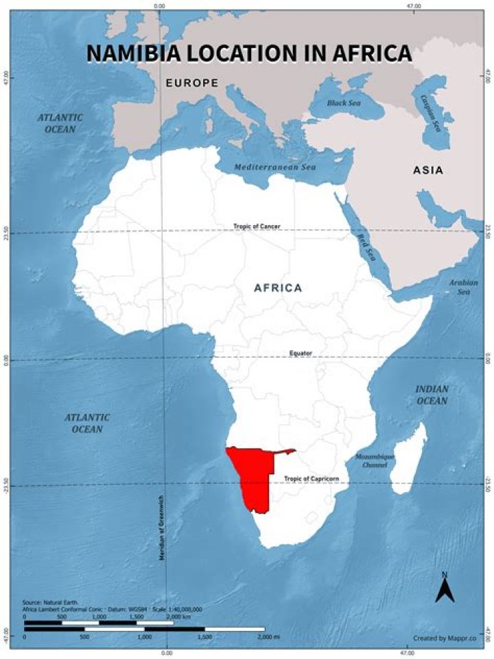 Where is Meena Nambi now?