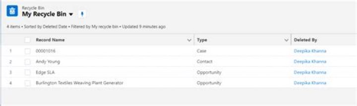 Where is the recycle bin in Salesforce?