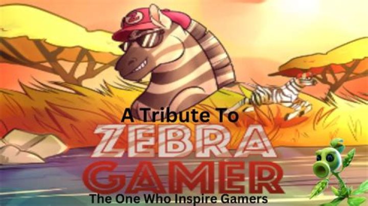 Zebra Gamer - Age, Family, Bio